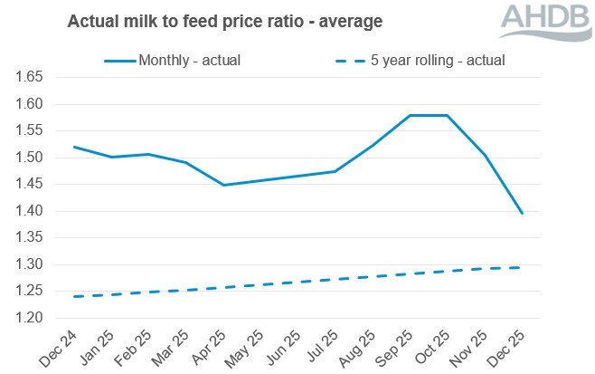 Line graph showing the milk to feed price ratio between December 2024 and December 2025.